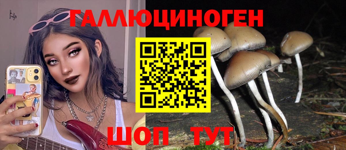 Чебаркуль  Галлюциногенные грибы MAGIC MUSHROOMS  магазин    Вход с VPN 