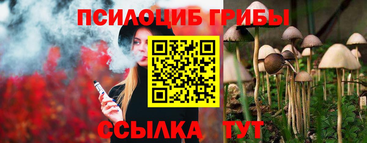 Галлюциногенные грибы мицелий Чебаркуль