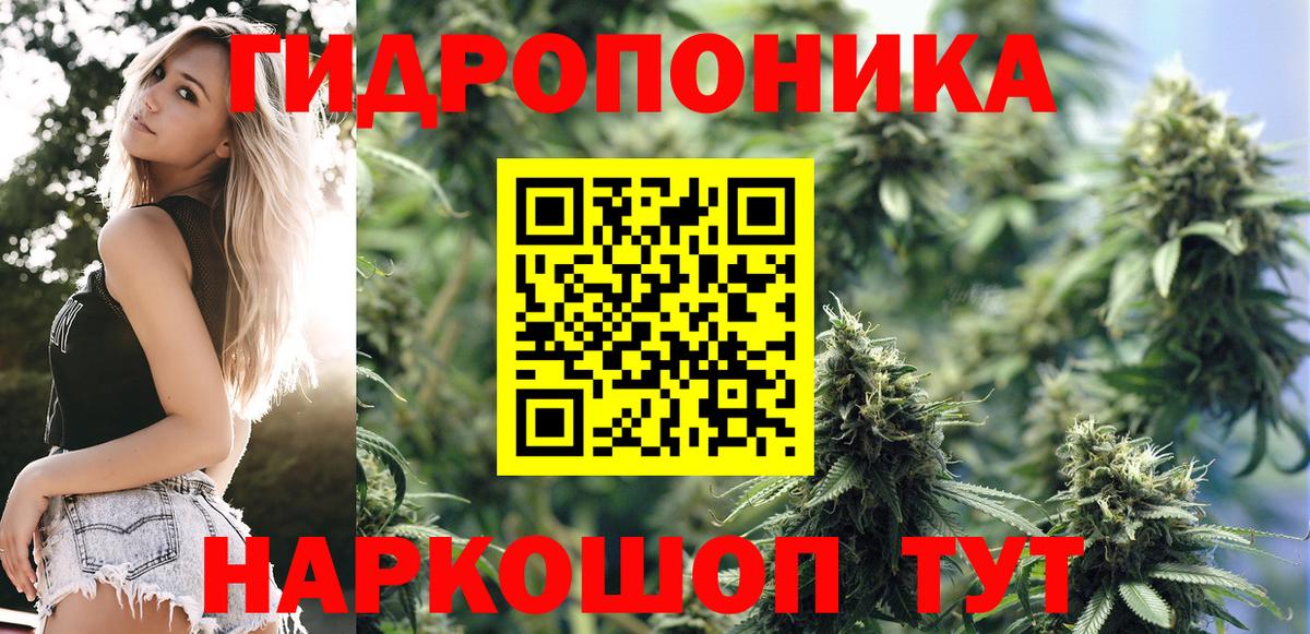 Марихуана конопля  Вход с VPN  Чебаркуль  МАРИХУАНА SATIVA & INDICA  МАРИХУАНА White Widow 